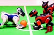 Aibo-Hunde vor dem entscheidenden Kick